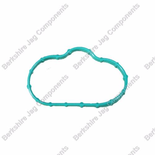 S Type V6 Lower Inlet Gaskets XR843533