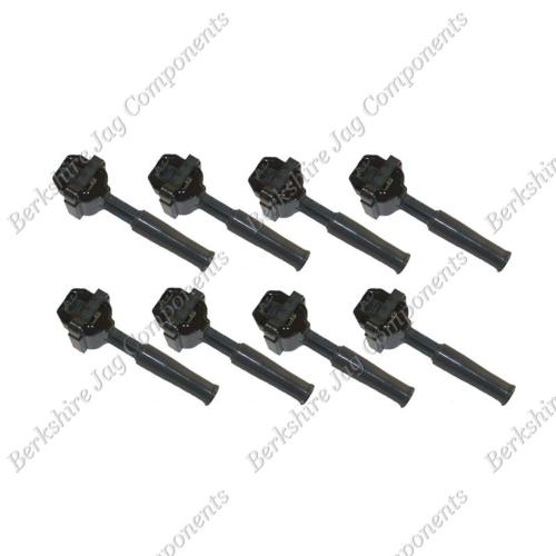 XJ8 2 Pin Ignition Coil Set (Set of 8) LCA1510ABSET