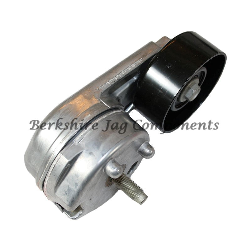 X350 Drive Belt Tensioner & Pulley C2C36146R