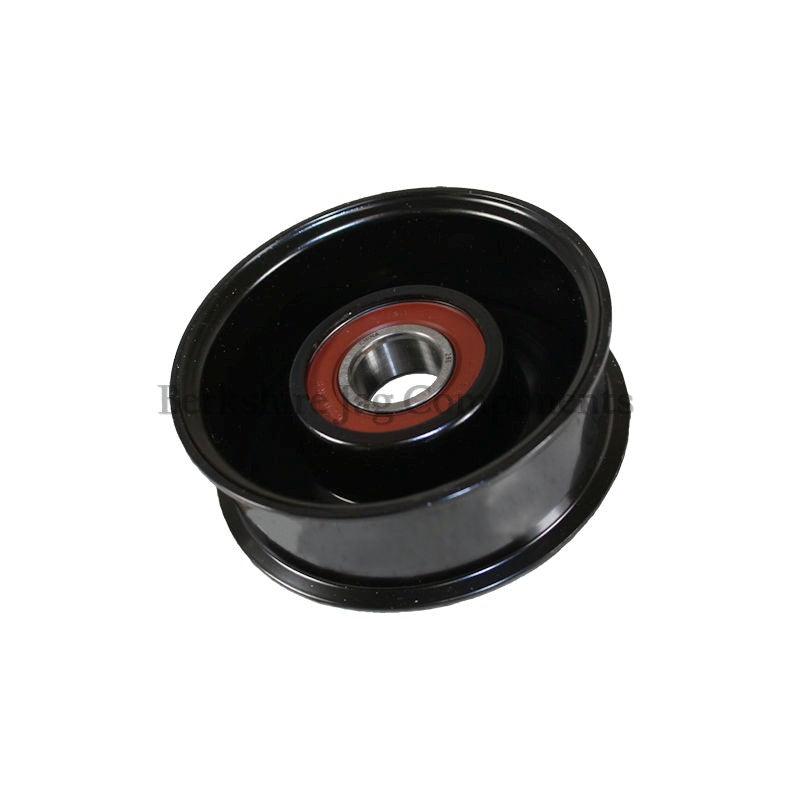 XF 4.2 V8 Idler Pulley C2C37064