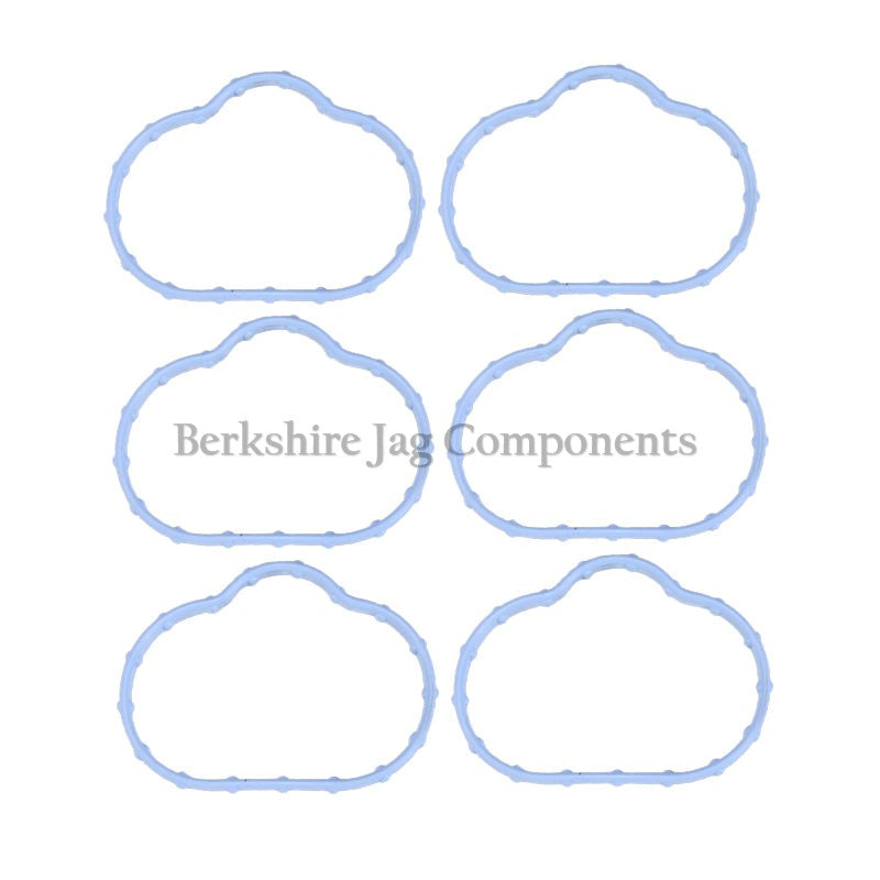 X Type Lower Gasket Inlet Manifold C2S12588