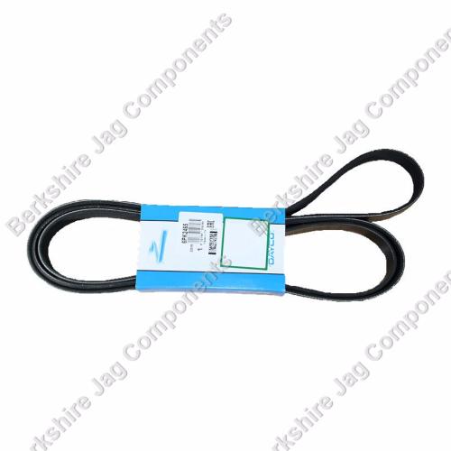 X Type V6 Petrol Engine Drive Belt C2S24900
