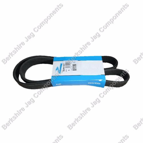 XK X150 Engine Drive Belt C2P12808